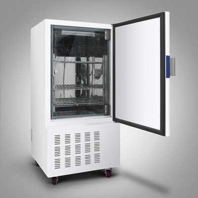 220V  Bod 냉각된 인큐베이터 65C 마이크로브올로지크 인큐베이터 스테인레스 강