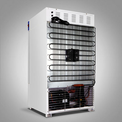 실험실을 위한 -40~65C 냉각된 인큐베이터 110V 의학 생물학적 인큐베이터