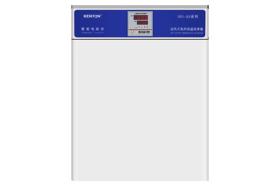 OEM 항온 배양기 220V 세균 조직 배양 인큐베이터