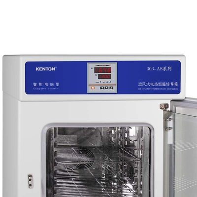 OEM 항온 배양기 220V 세균 조직 배양 인큐베이터