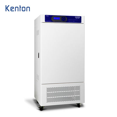 곤충용 내후성 챔버 100-800L 실험실 지방 인큐베이터 OEM